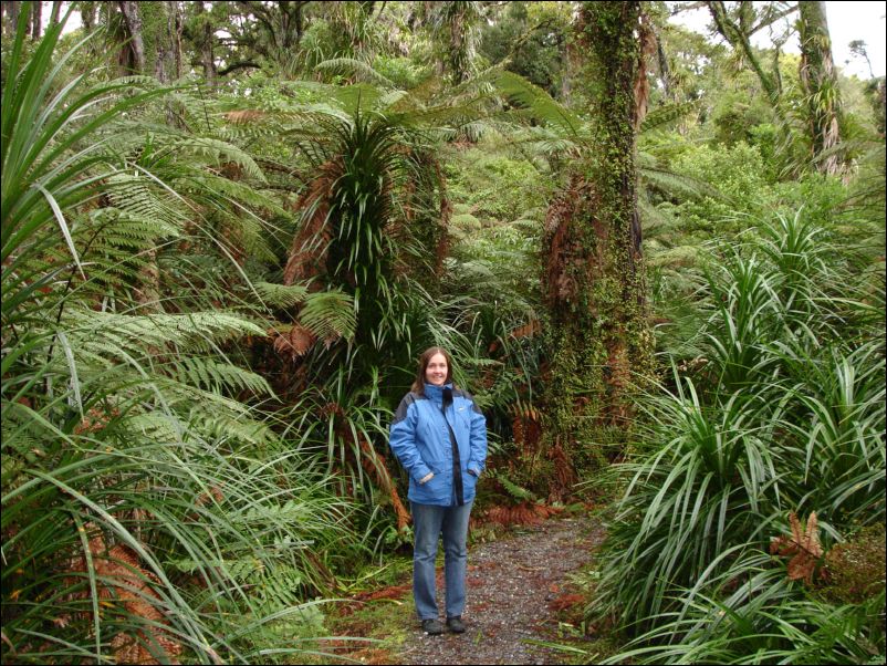 DSC01239_westcoast regenwald